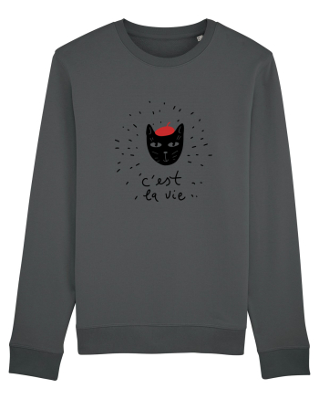 C'est La Vie Anthracite
