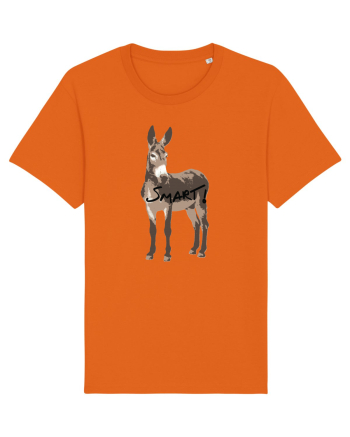 Smart-ass Bright Orange