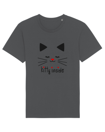 Kitty Inside Anthracite