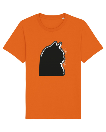 Meow Bright Orange