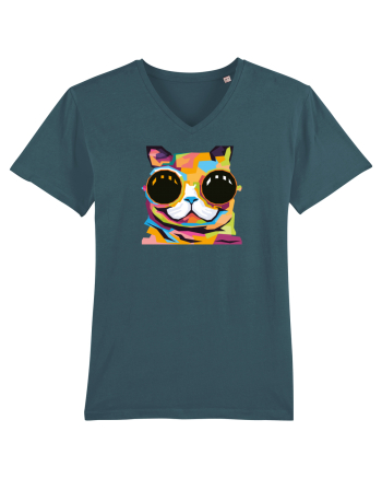 Funky Kitten Stargazer