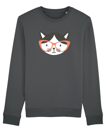 Sweet  Kitty Anthracite