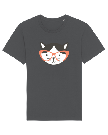 Sweet  Kitty Anthracite
