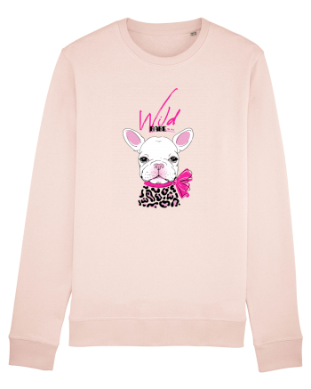 Wild Babe Candy Pink