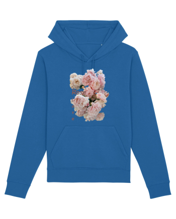 Iubire pentru trandafiri  Royal Blue