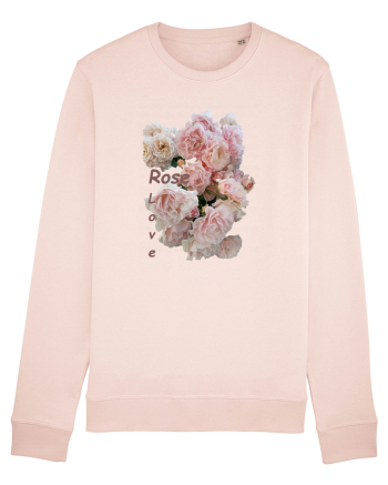 Iubire pentru trandafiri  Candy Pink