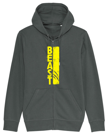 BEAST Anthracite