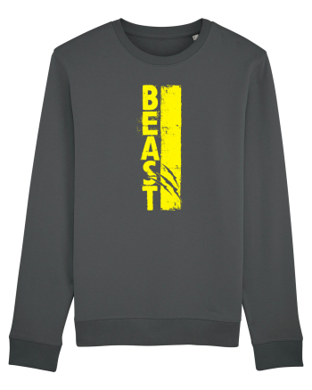 BEAST Anthracite