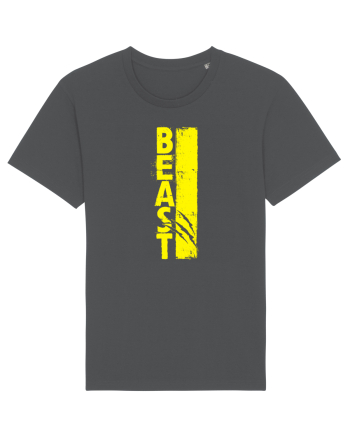 BEAST Anthracite