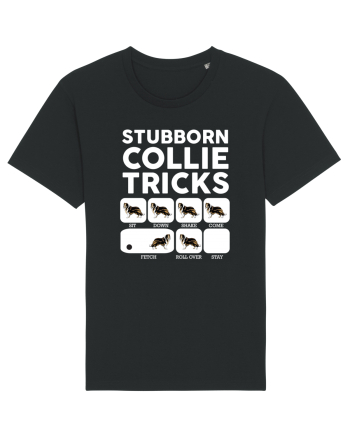 COLLIE Black