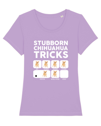 CHIHUAHUA Lavender Dawn