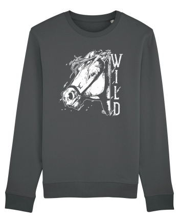 Wild Horse Anthracite