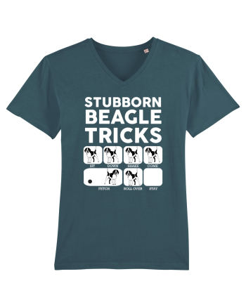 BEAGLE Stargazer