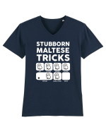MALTESE Tricou mânecă scurtă guler V Bărbat Presenter