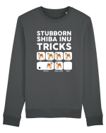 SHIBA INU Bluză mânecă lungă Unisex Rise