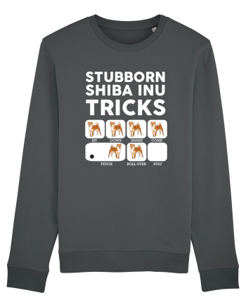 SHIBA INU Anthracite