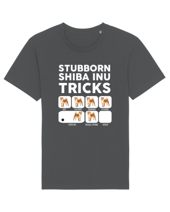 SHIBA INU Anthracite