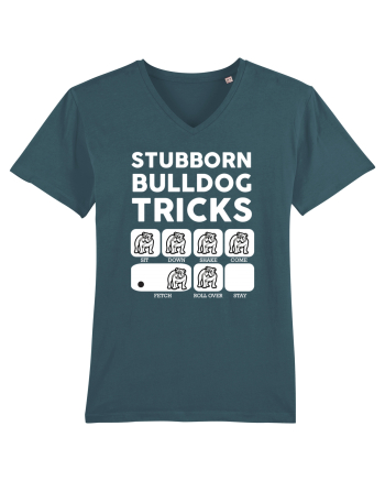 BULLDOG Stargazer