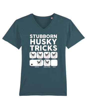 HUSKY Stargazer