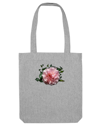 MIracolul trandafirului Heather Grey