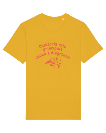 Căsătoria este principala cauză a divorțului Spectra Yellow