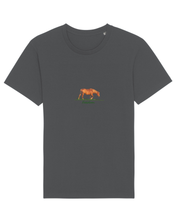 Freedom horse  Anthracite