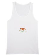 Freedom horse  Maiou Bărbat Runs