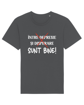 ...Sunt bine! Anthracite