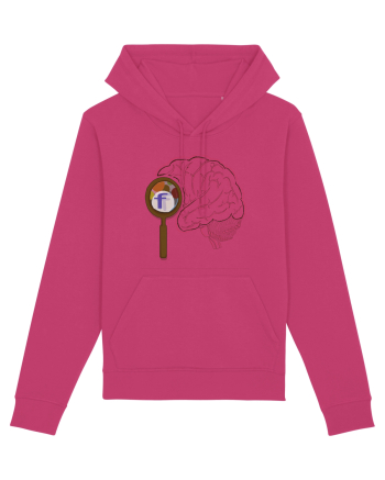  Our Brain - Creierul nostru Raspberry