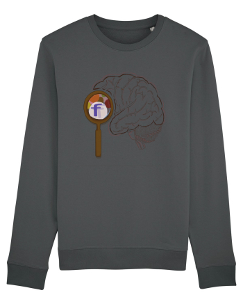  Our Brain - Creierul nostru Anthracite