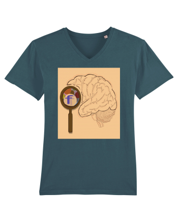 Our Brain - Creierul nostru ! Stargazer