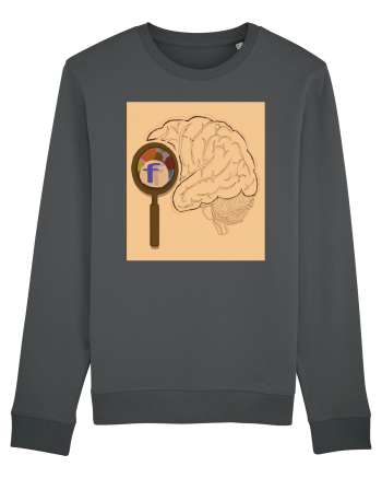 Our Brain - Creierul nostru ! Anthracite