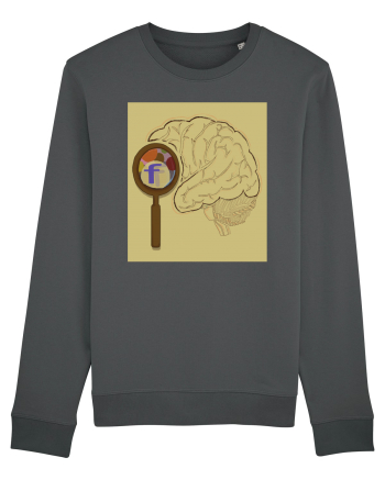 Our Brain - Creierul nostru.. Anthracite