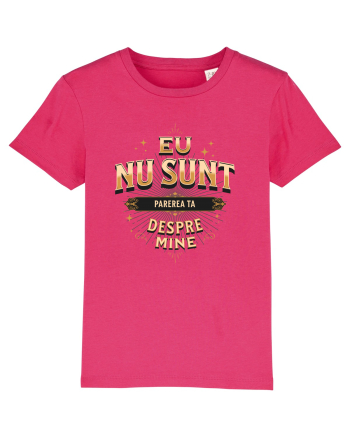 Eu nu sunt părerea ta despre mine v2 Raspberry