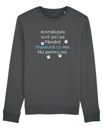 Aici Impreuna Anthracite