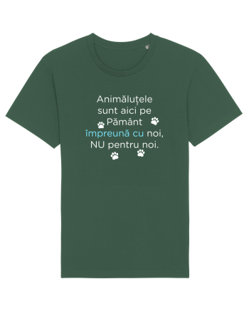 Aici Impreuna Bottle Green