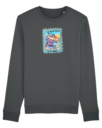 Tricou de Vama 2 Anthracite