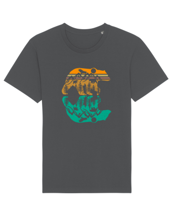 Mountain Bear Anthracite