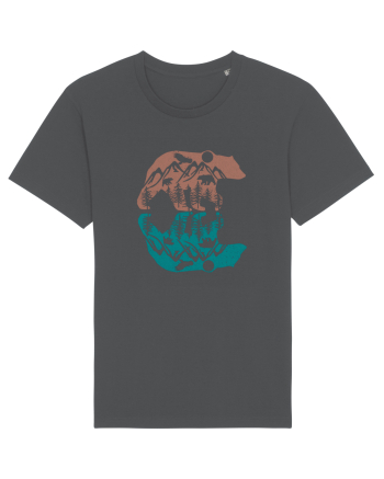 Mountain Bear Anthracite