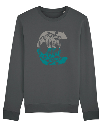 Mountain Bear Anthracite