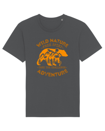 Mountain Bear Anthracite