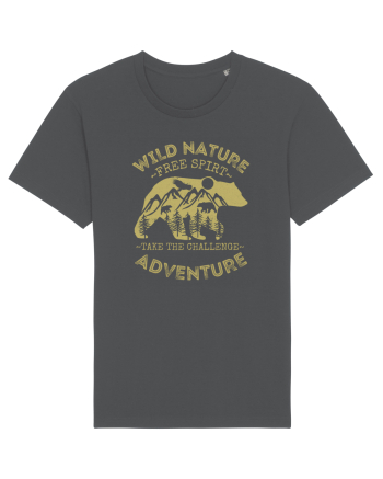 Mountain Bear Anthracite