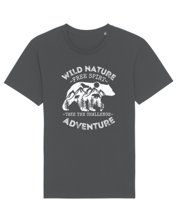 Mountain Bear Anthracite