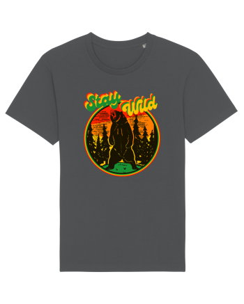 Mountain Bear Anthracite