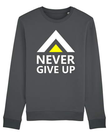 Never Give Up Anthracite
