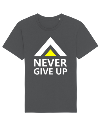 Never Give Up Anthracite