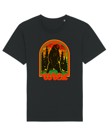 Mountain Bear Black