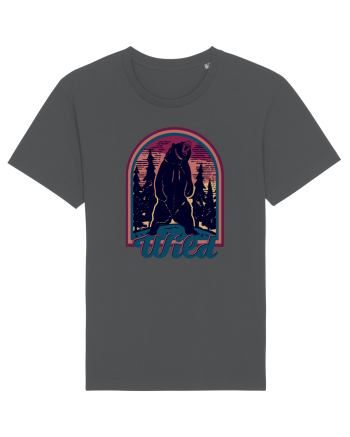 Mountain Bear Anthracite