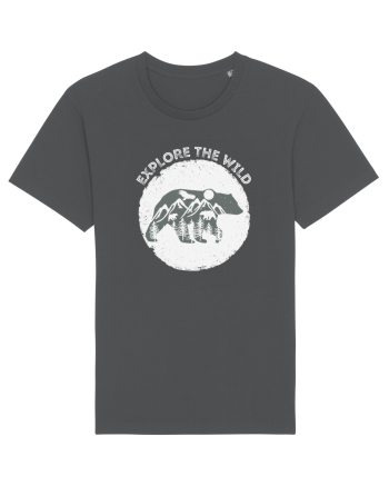 Mountain Bear Anthracite