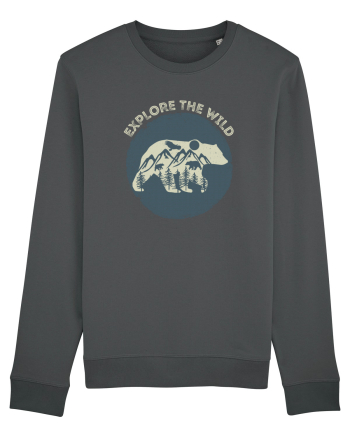 Mountain Bear Anthracite